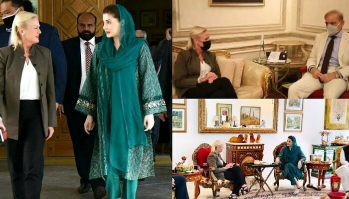 Does US envoy's separate meetings with Maryam, Shehbaz indicate party split?