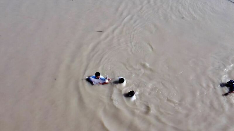 Dolphin that strayed is moved to sanctuary