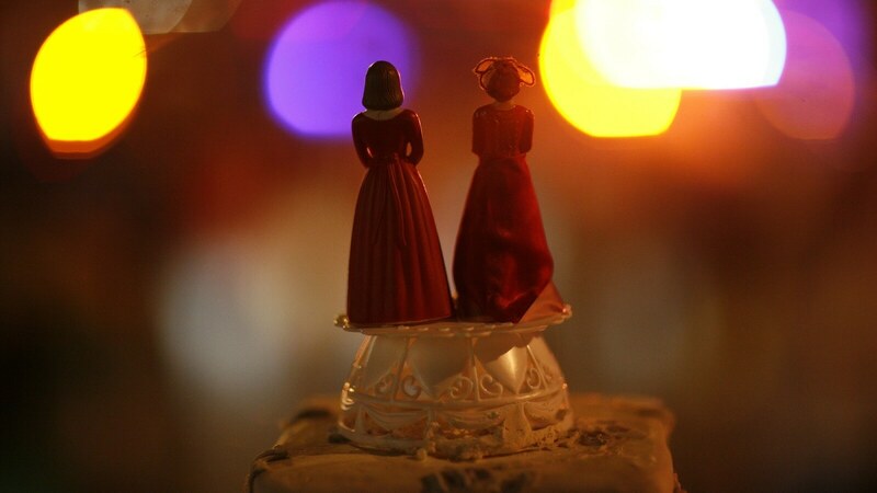 Same-sex couple fight for right to marry in India