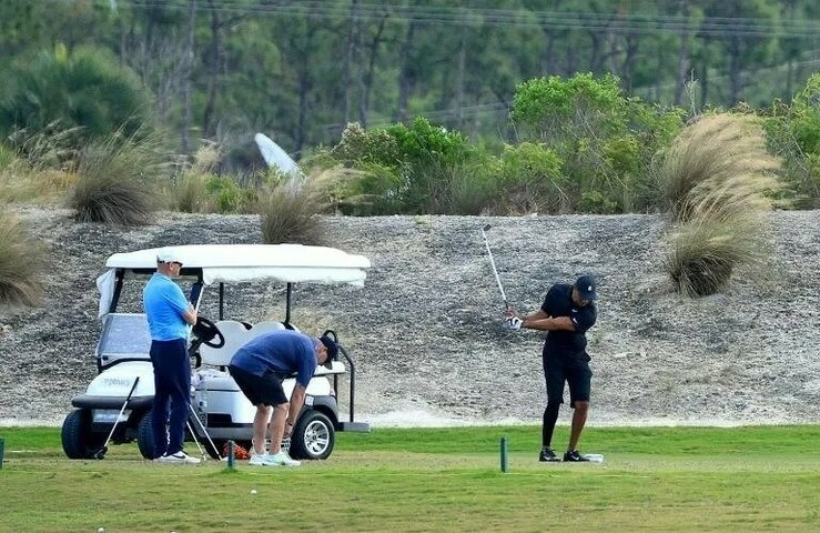 Healing Woods says competitive return 'long way away'