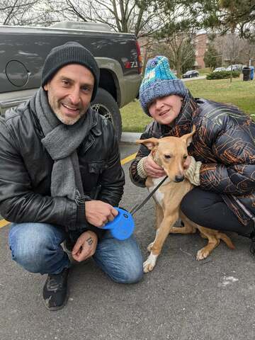 Pakistani teen rescues animals, relocates them to homes in Canada