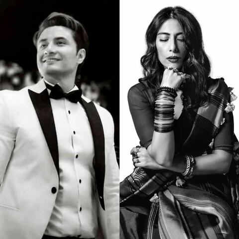 Meesha Shafi shares details of Ali Zafar's alleged harassment in court