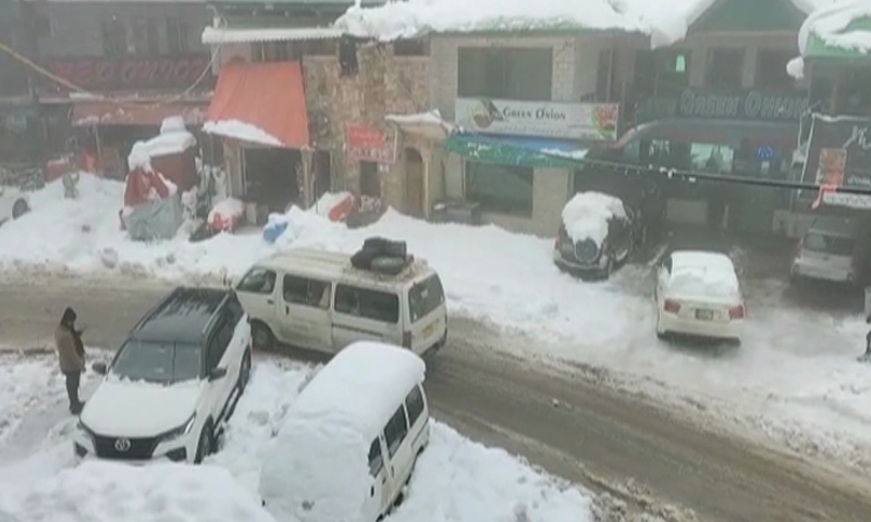 Heavy rain, snow kill 12 in KP