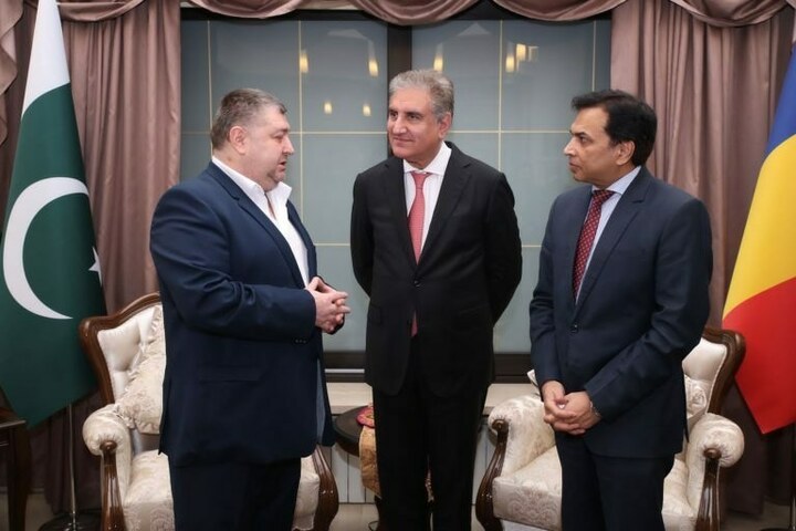 Overseas Pakistanis can influence country's policies through their votes: FM Qureshi