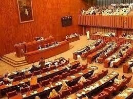 Barring civil servants from holding dual nationality: Senate body to hold &lsquo;thorough&rsquo; debate on bill