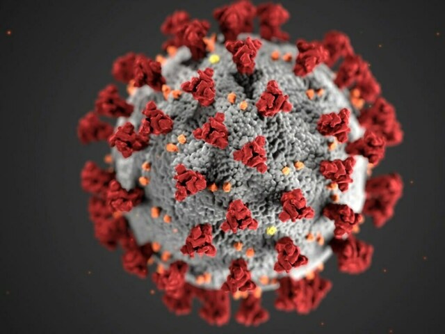 Omicron 'sub-variant' throws up new virus questions