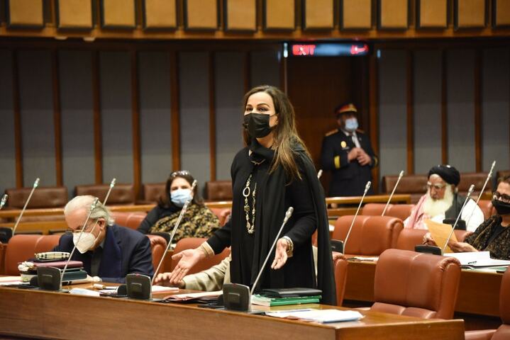 After NA, SBP Bill passes through Senate by the thinnest of margins