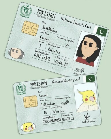 Lahore artist making pet ID cards wants to start animal rights movement