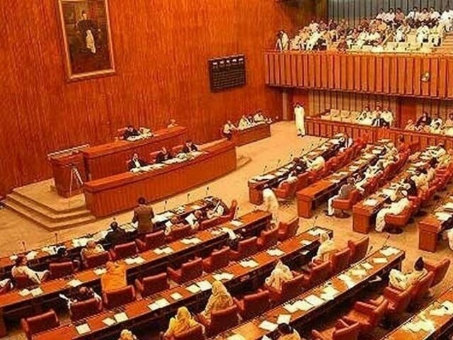 Senate adopts resolution supporting parliamentary form of govt