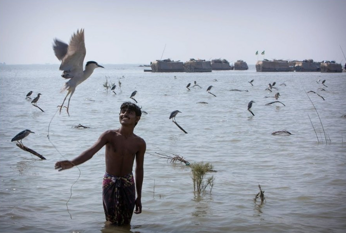 Social media users voice concern over degradation of Sindh's Manchar Lake
