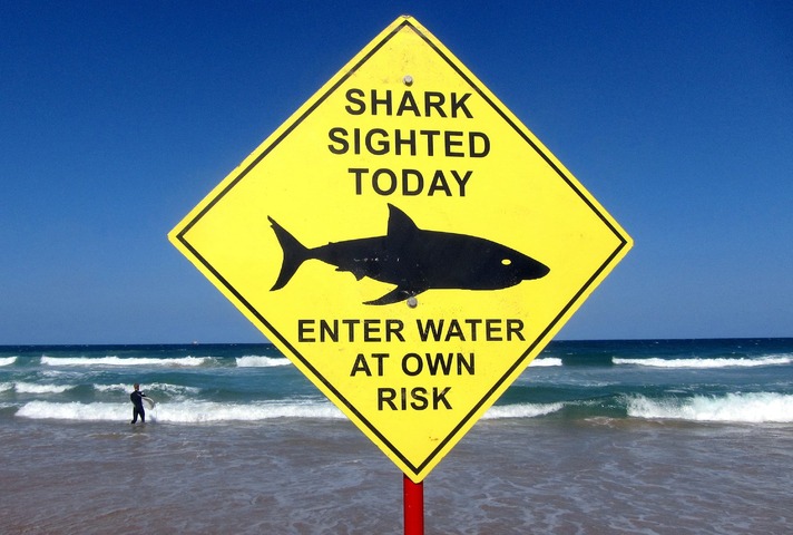 Sydney beaches close after first fatal shark attack in 60 years