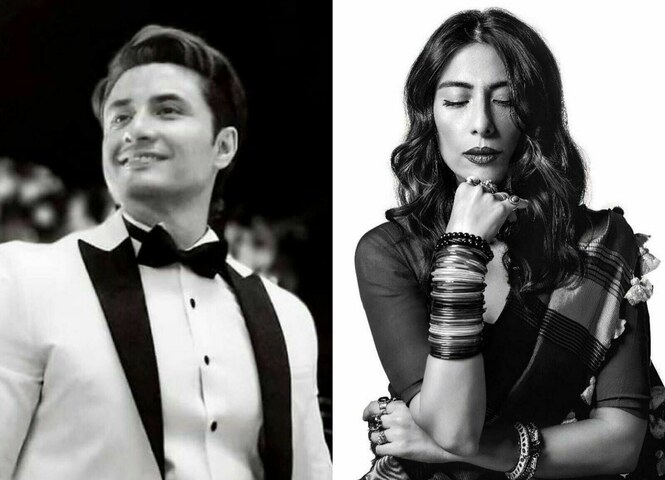 Meesha Shafi's petition against FIA case rejected