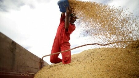 Food crisis grows as spiralling prices spark export bans