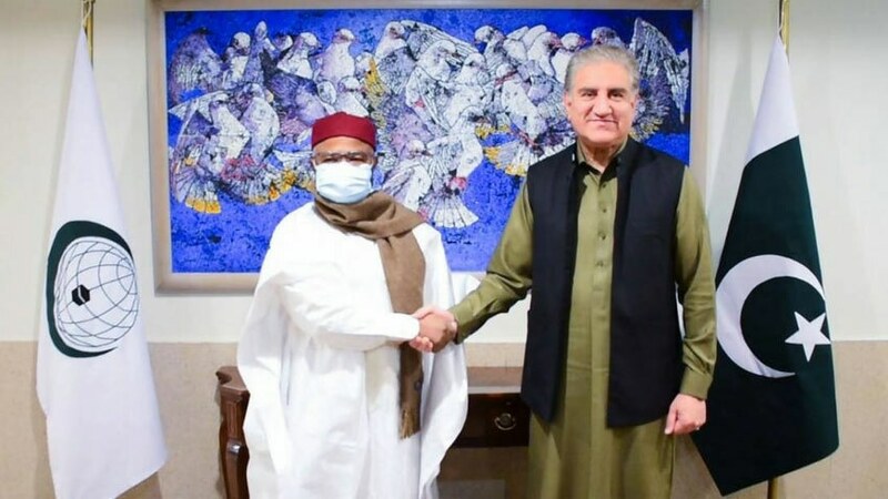 FM Qureshi, OIC secretary general review agenda of foreign minister moot