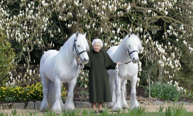 Queen Elizabeth&rsquo;s 96th birthday marked with gun salute, new photograph