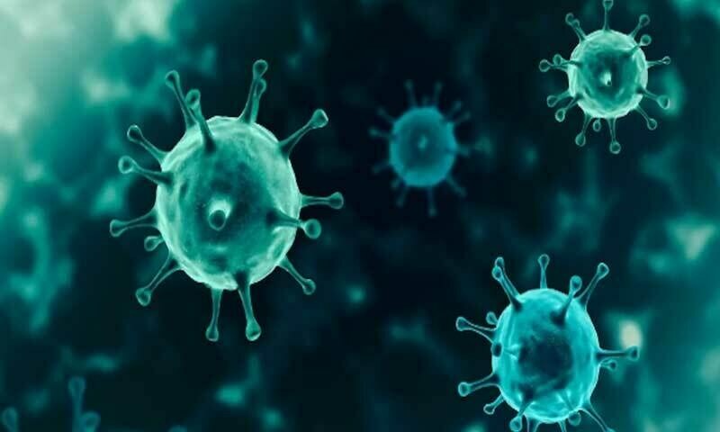 Covid increases risk of blood clots for up to six months: study