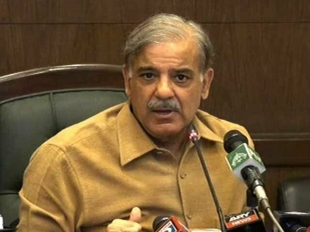 Closure of several power plants led to load shedding, says PM Shehbaz