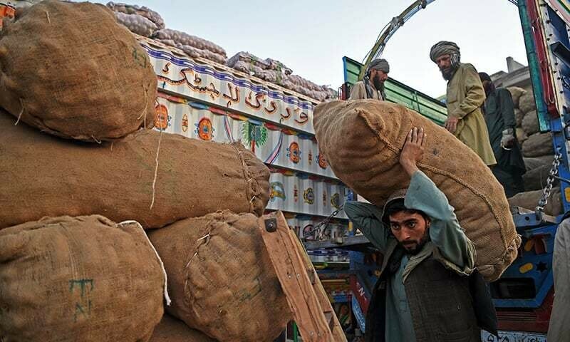 Govt committed to raising standard of workers, says PM Shehbaz on Labour Day message