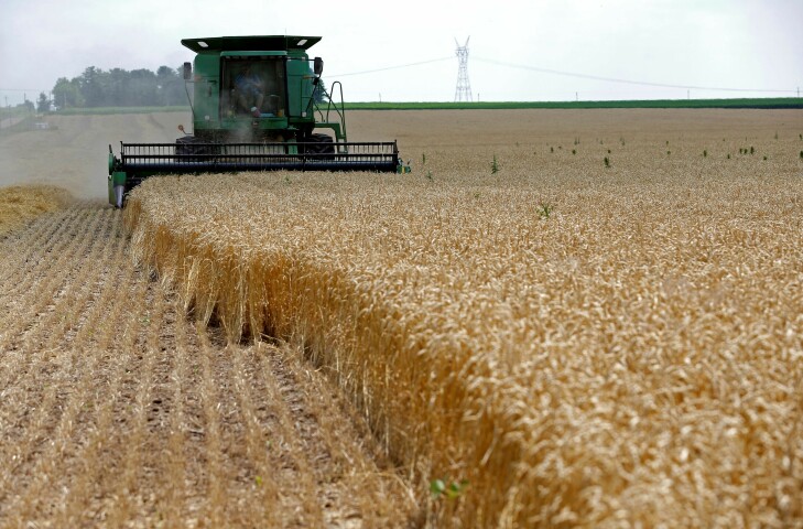 Wheat prices hit record high after Indian export ban