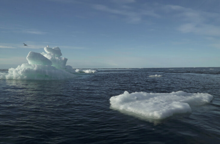 World&rsquo;s oceans at most acidic level in 26,000 years, climate report warns