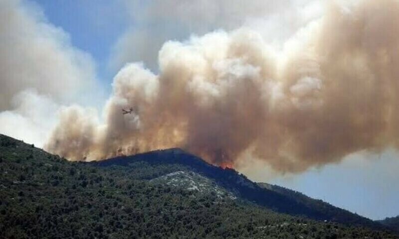 Balochistan&rsquo;s Chilgoza forest burns for 12th day