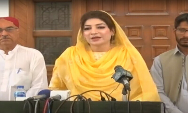 Dry drought spells, high wind velocity caused Balochistan forest fires spread