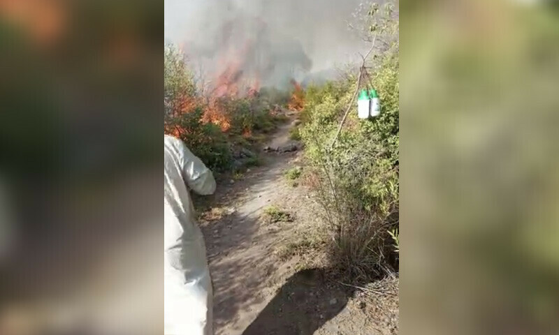 Hot high speed winds rejuvenate fire in Margalla Hills: Sherry Rehman