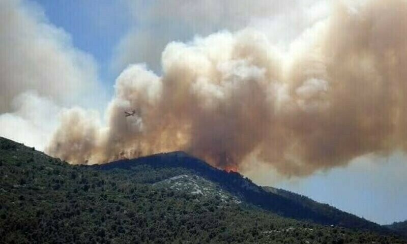 Over 10,000 acres affected in Balochistan chilgoza forest fires