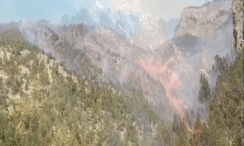 With Iran's help, fire in Balochistan&rsquo;s chilgoza forest nearly put out