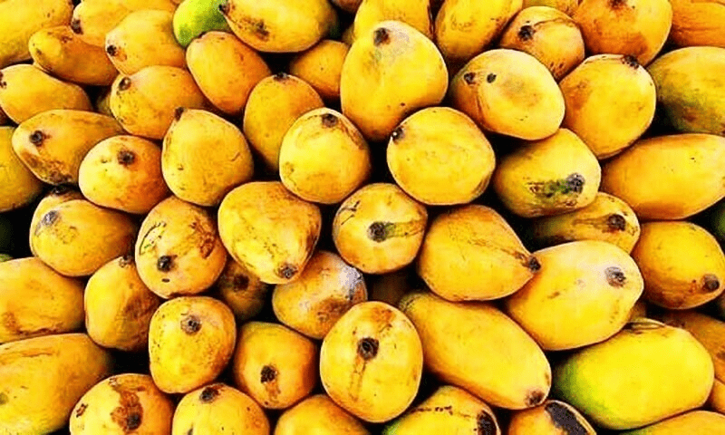 How to eat mangoes without worrying about your health