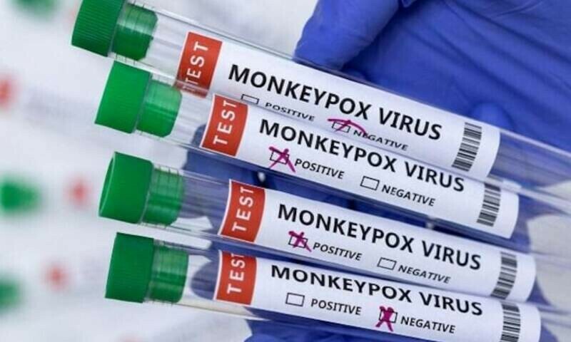 Disease experts call on WHO, governments for more action on monkeypox