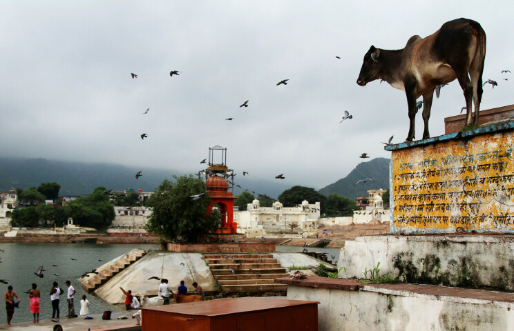 America raps India over attacks on Muslims, minorities