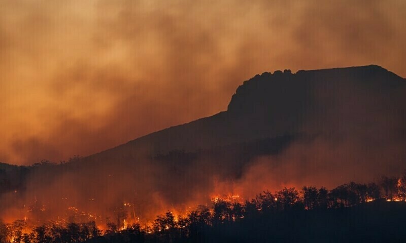 Thick plumes of smoke as another fire engulfs Margalla Hills