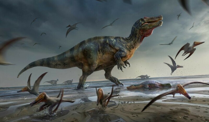 Europe&rsquo;s largest meat-eating dinosaur found on Isle of Wight