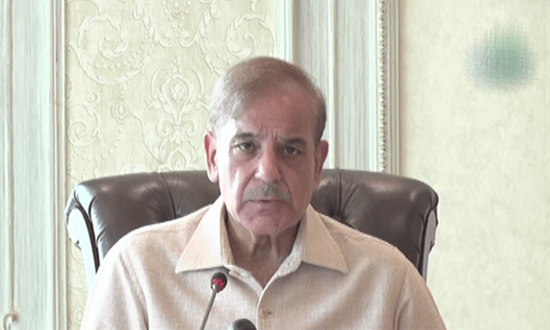 Will steer country out of challenges by taking tough decisions: PM Shehbaz