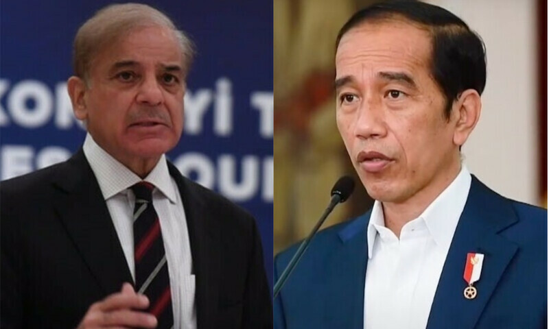 PM Shehbaz, Widodo agree to work on steady palm oil import from Indonesia