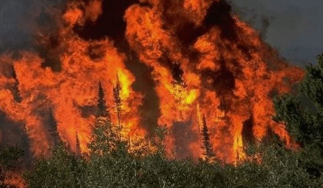 Swat forest still on fire, despite rescue efforts