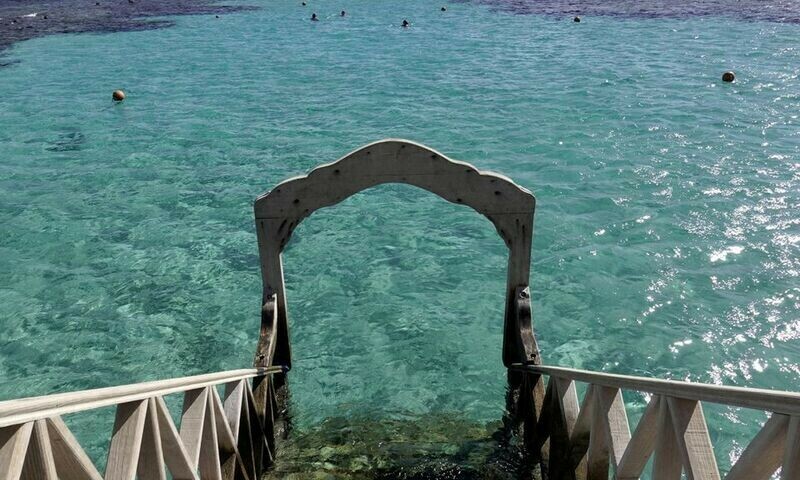 Egypt shuts down Red Sea beaches after tourist killed in shark attack