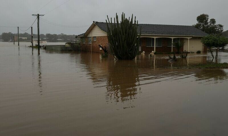 Thousands of Sydney residents return home to assess damage as flood waters recede