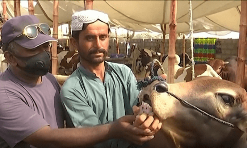 Qurbani rates: Karachi butchers, citizens at loggerhead over prices