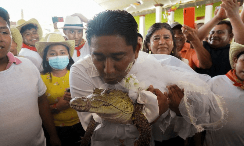 Mexican mayor marries muggermach for monies