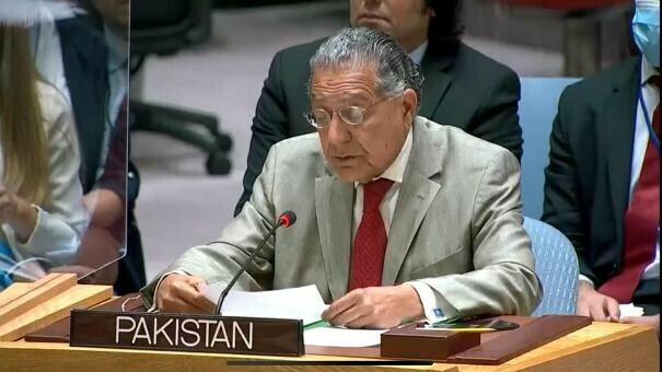 At UN, Pakistan calls for keeping focus on children&rsquo;s plight in Indian occupied Kashmir