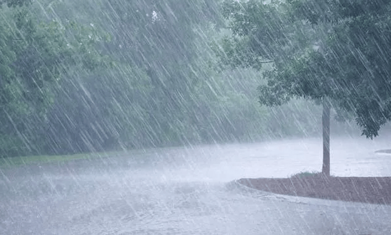 One dead, six injured in rain related incidents in Punjab