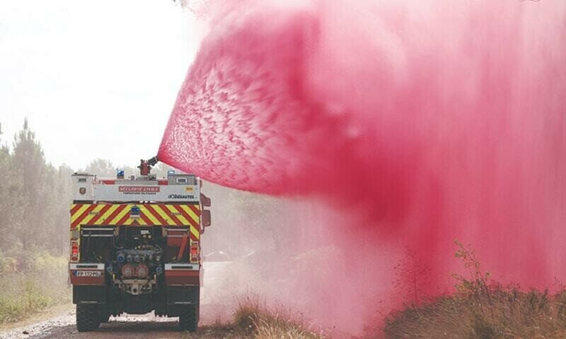 Heatwave caused 1,700 deaths in Spain, Portugal