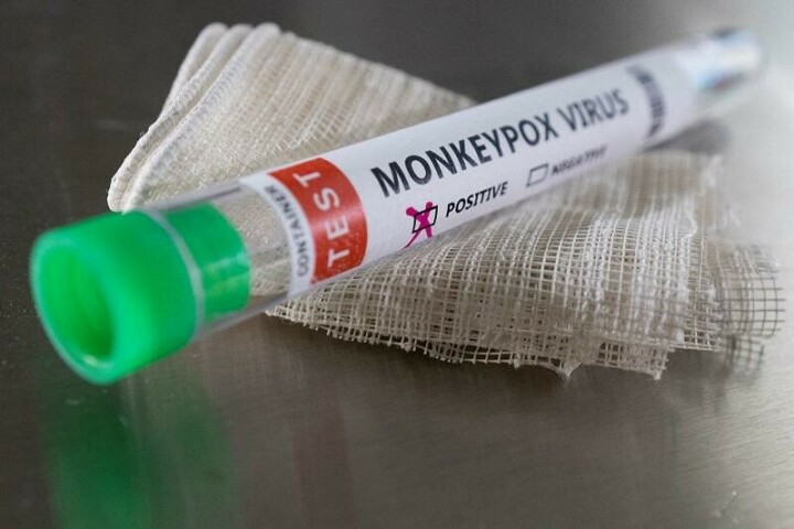 WHO triggers highest alert on monkeypox