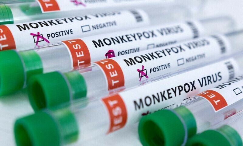 WHO declares global health emergency over monkeypox outbreak