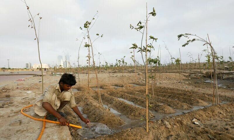 Pakistanis plant trees to provide relief from scorching sun