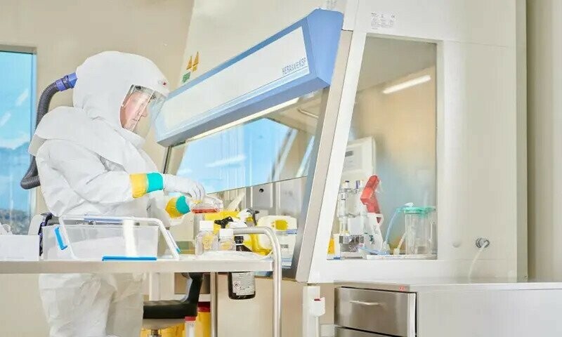 Researchers claim restoring cell function after death