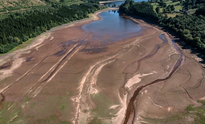 Drought declared in several parts of England