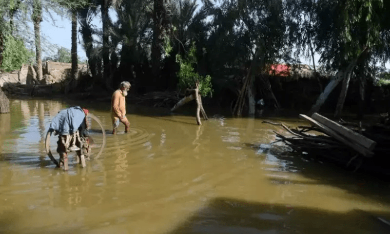 Everything is destroyed: Pakistan survivors appeal for aid